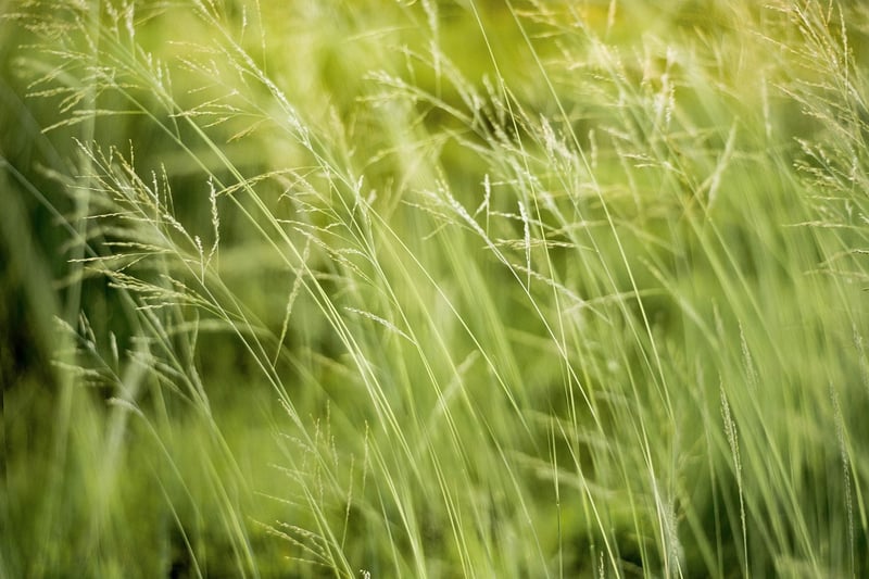 Eco-conscious surprises